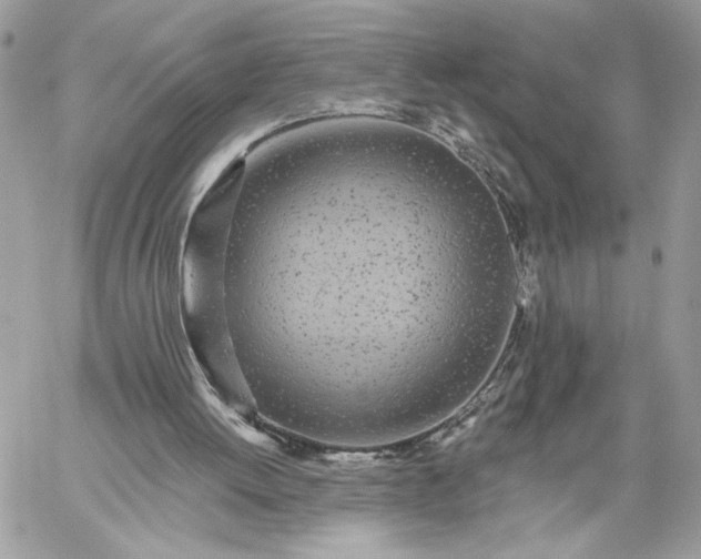 X0000059100052200510172130