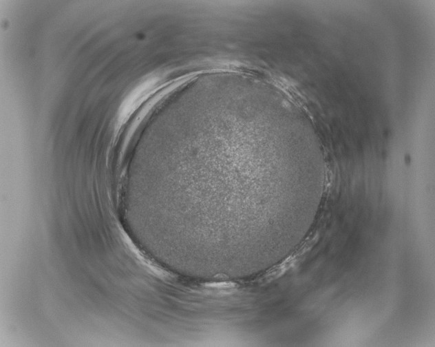 X0000059100053200510172130