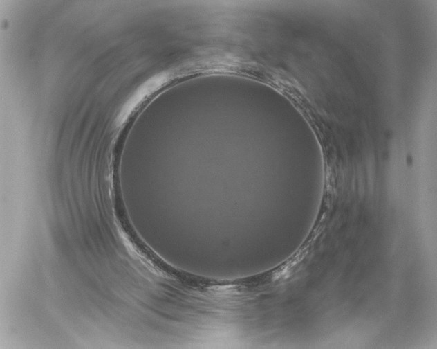 X0000059100054200510172130