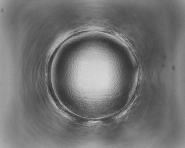 X0000059100055200510172130