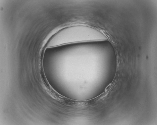 X0000059100056200510172130