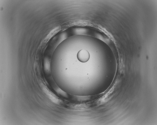 X0000059100057200510172130