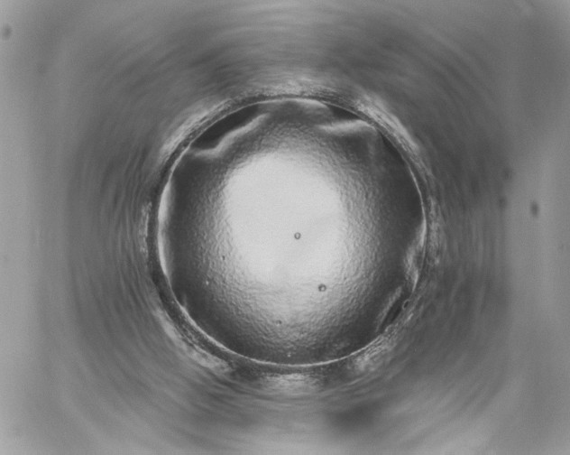 X0000059100058200510172130