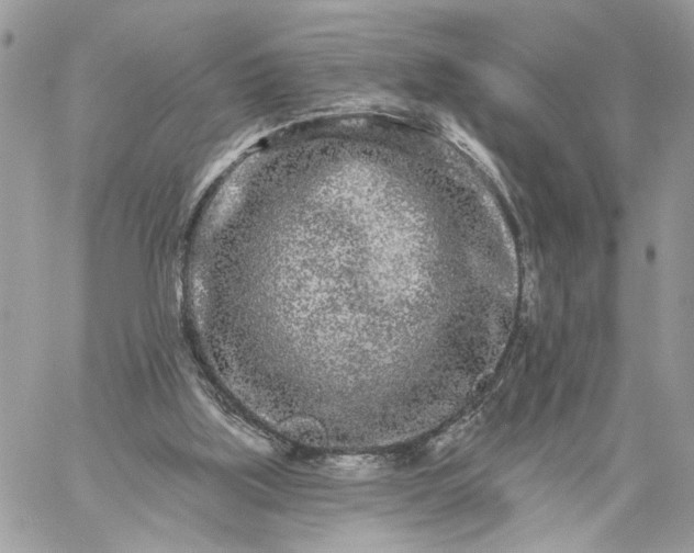 X0000059100059200510172130