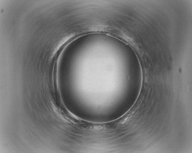 X0000059100060200510172130