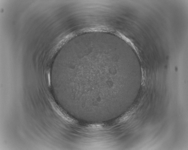 X0000059100061200510172130