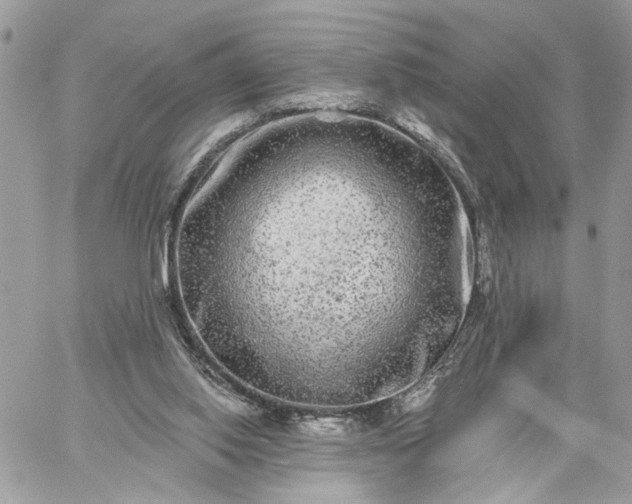 X0000059100062200510172130