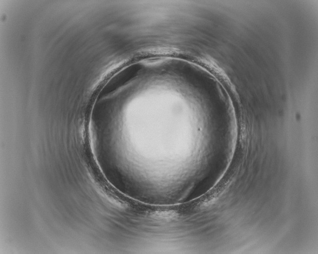 X0000059100063200510172130