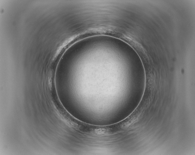 X0000059100064200510172130