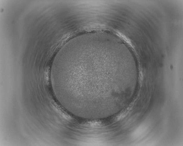 X0000059100065200510172130