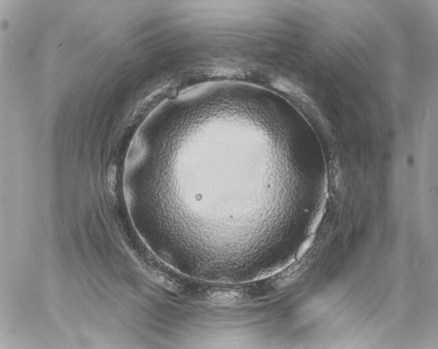 X0000059100066200510172130