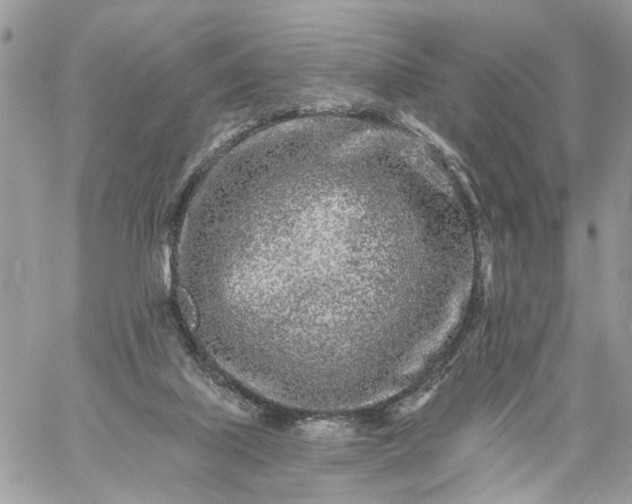 X0000059100067200510172130