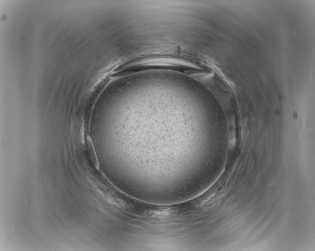 X0000059100068200510172130