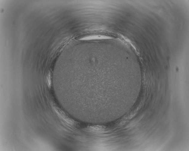 X0000059100069200510172130