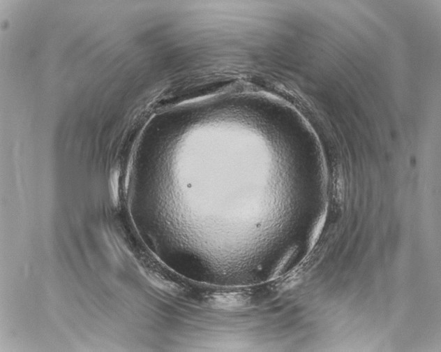 X0000059100070200510172130