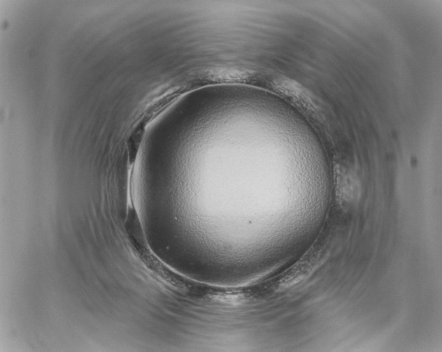 X0000059100071200510172130