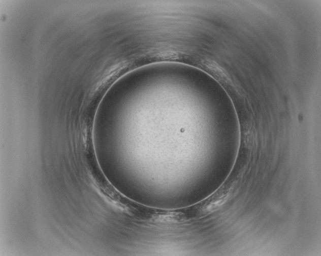 X0000059100072200510172130