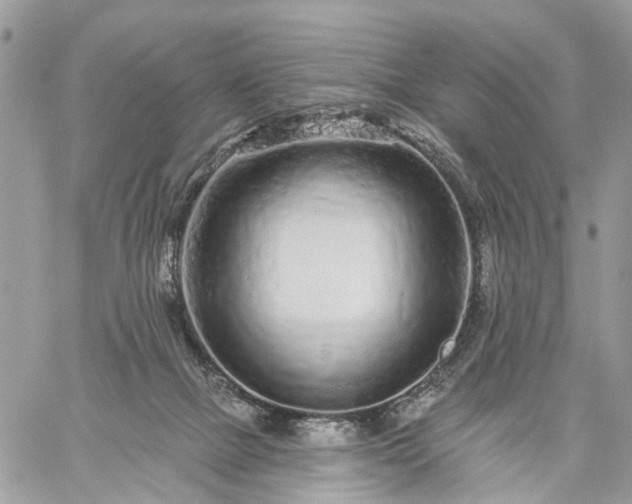 X0000059100073200510172130