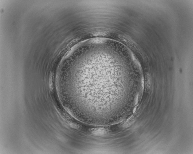 X0000059100074200510172130