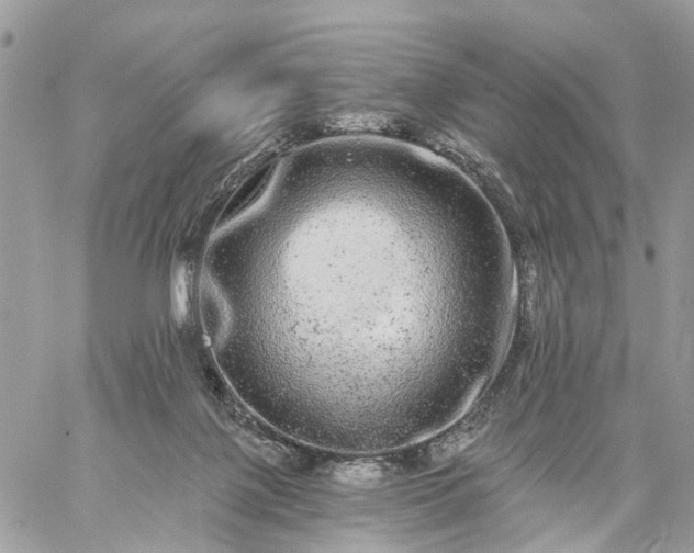 X0000059100075200510172130