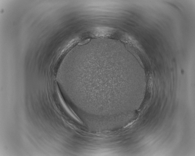 X0000059100076200510172130