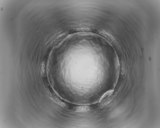 X0000059100077200510172130