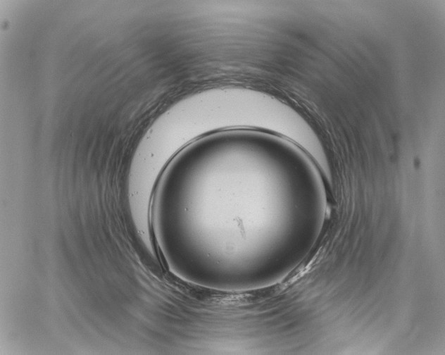 X0000059100078200510172130