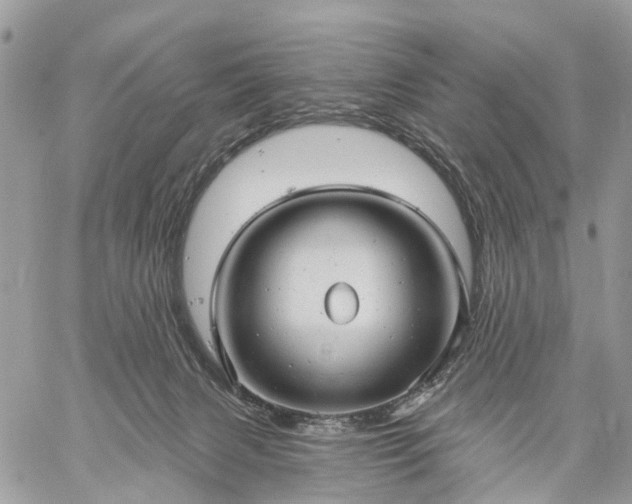 X0000059100079200510172130