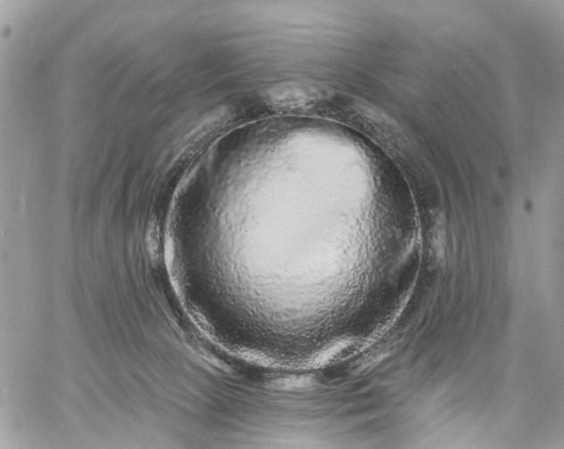 X0000059100081200510172131