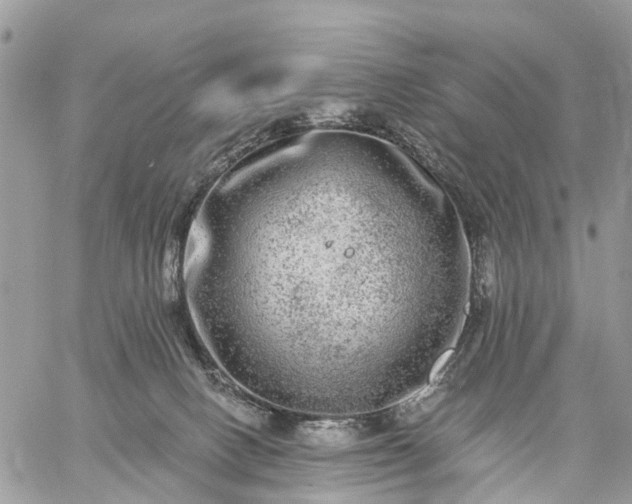 X0000059100082200510172131