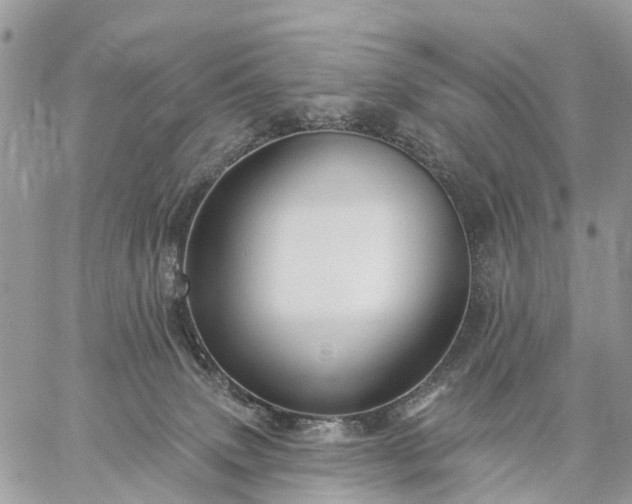 X0000059100083200510172131