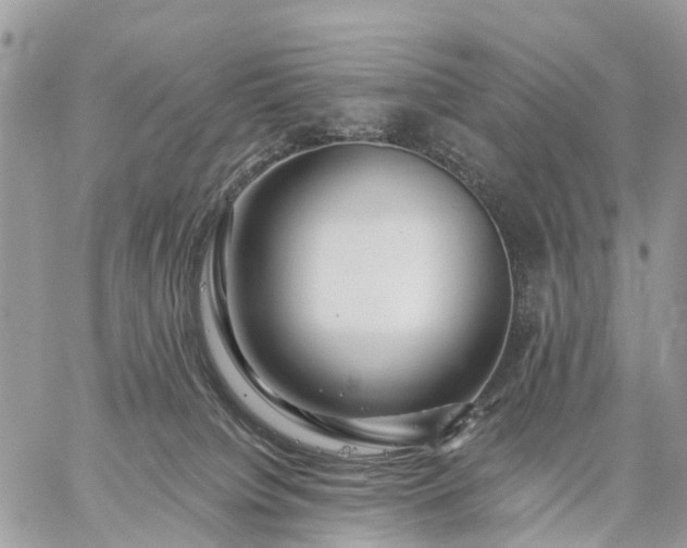 X0000059100084200510172131