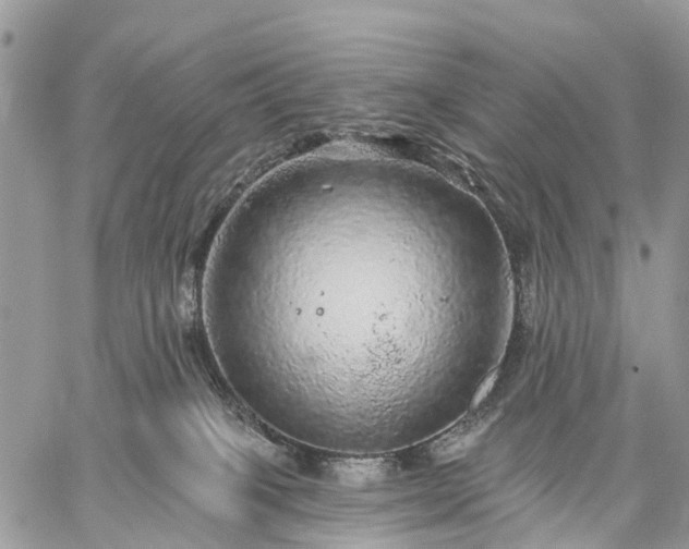 X0000059100085200510172131