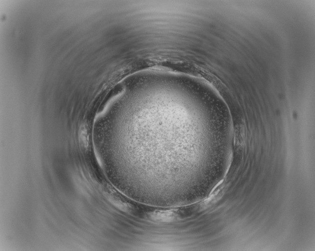 X0000059100086200510172131