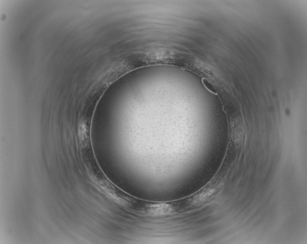 X0000059100087200510172131