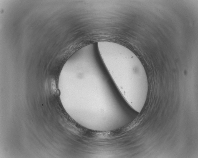 X0000059100089200510172131