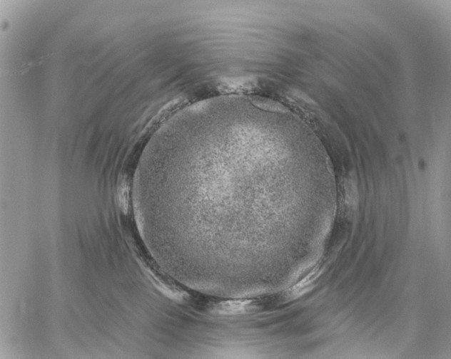 X0000059100090200510172131