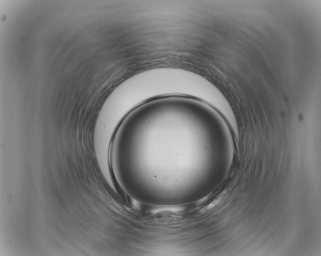 X0000059100091200510172131