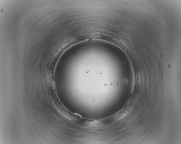 X0000059100092200510172131