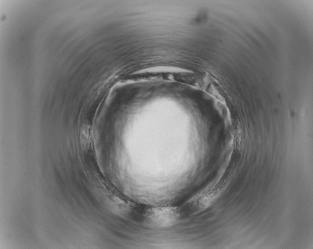 X0000059100093200510172131