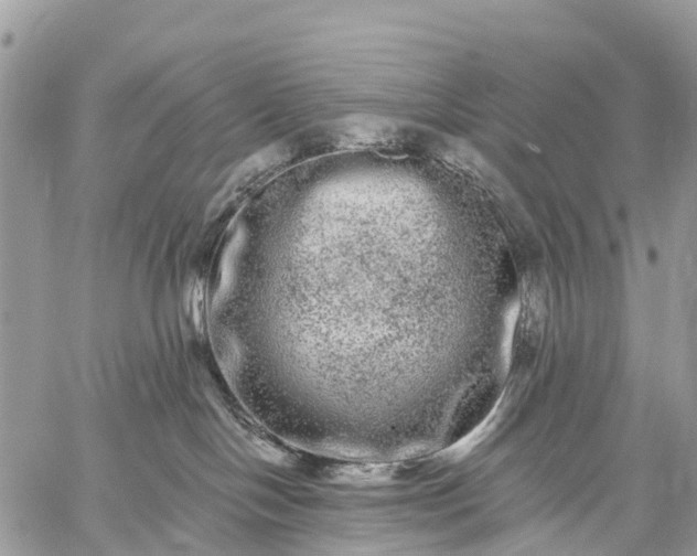 X0000059100094200510172131