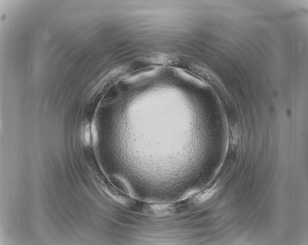 X0000059100095200510172131