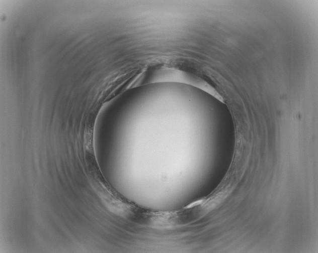 X0000059100096200510172131