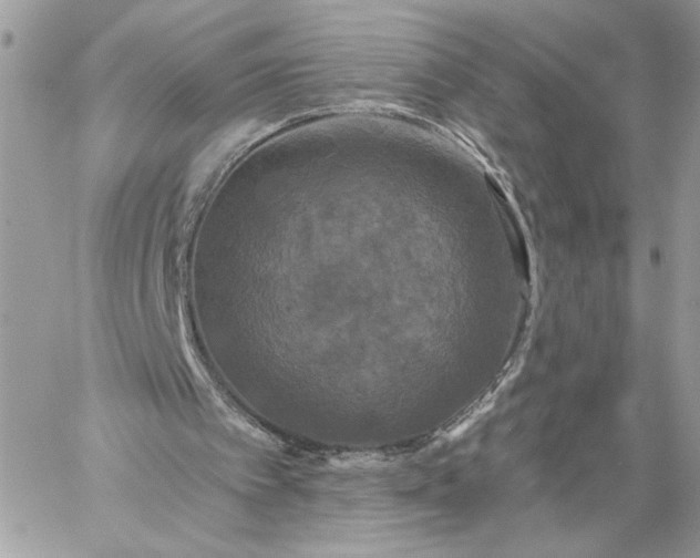 X0000059100097200510172130