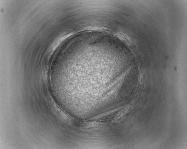 X0000059100098200510172130