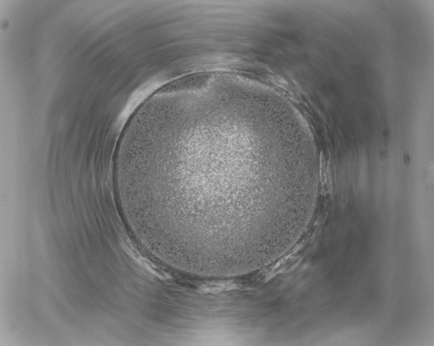 X0000059100099200510172130