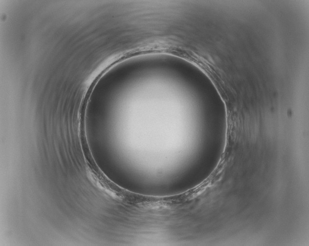 X0000059100100200510172130