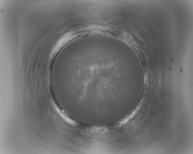 X0000059100101200510172130