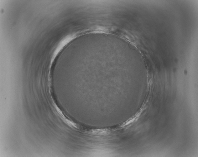 X0000059100102200510172130