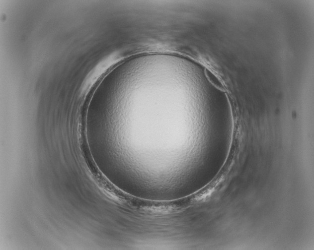 X0000059100103200510172130